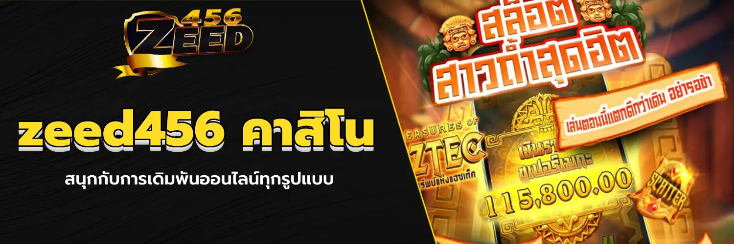 zeed456 คืออะไร 2026 รีวิวจริง ปลอดภัยไหม ปก